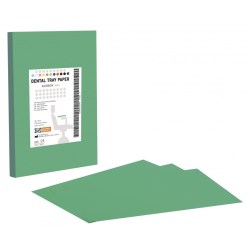 dental-tray-paper-green-900x900