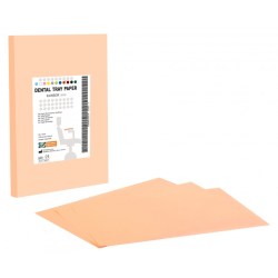dental-tray-paper-orange-900x900